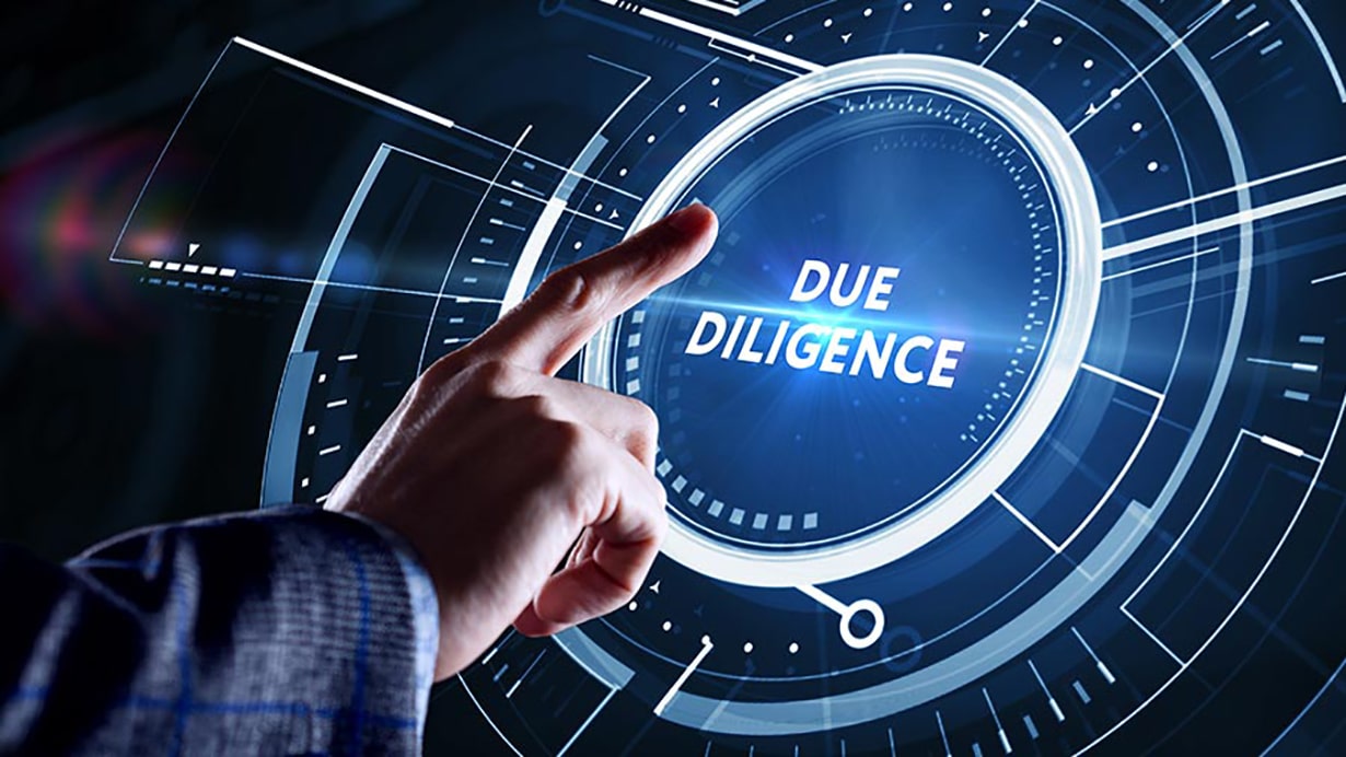 Due Diligence: details about the procedure and its features